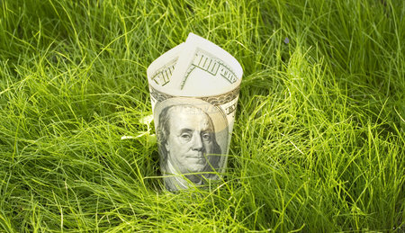 one hundred dollars growing in green grassの写真素材