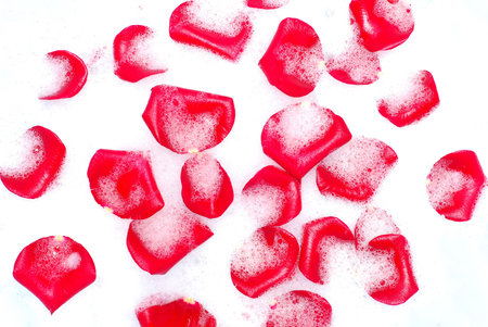 red rose petals in relaxing spumeの写真素材