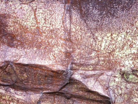 rusty metallic surface great as a background