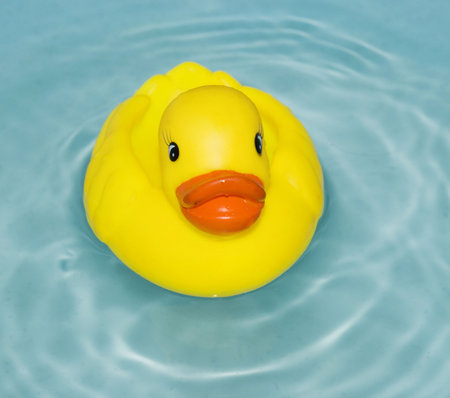 yellow rubber duck floating on a waterの写真素材