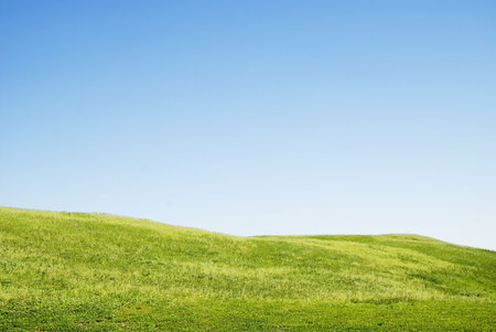 green grass and blue skyの写真素材