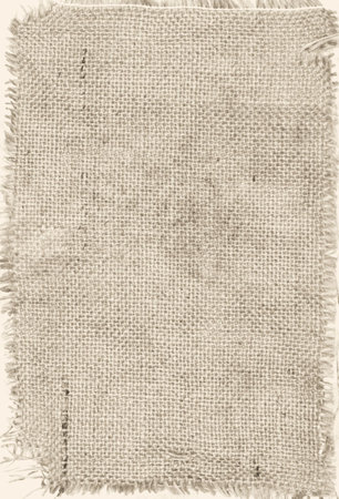 grunge sackcloth great as a backgroundの写真素材