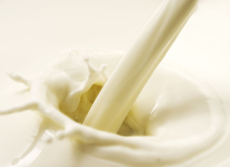 image of milk fresh milk splashの写真素材