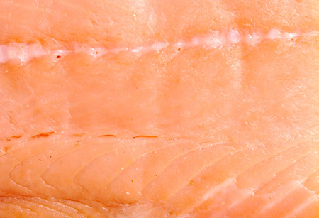 close up shot of fresh red fishの写真素材