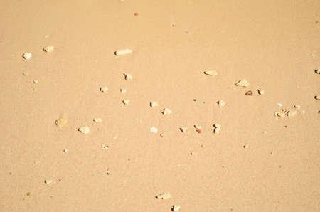 wet sandの写真素材