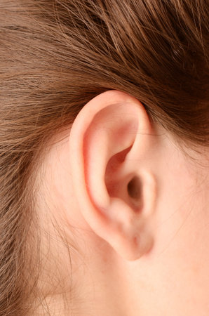 close up of woman earの写真素材