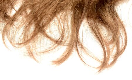 woman hair on whiteの写真素材