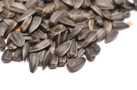 sunflower seeds isolated on white backgroundの写真素材