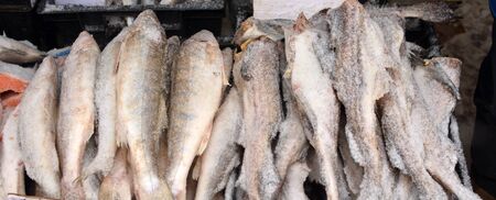 close up of fish in market
