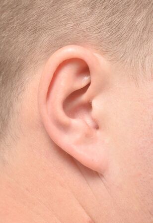 close up of male ear