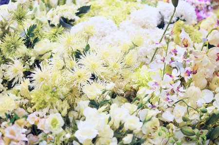 flowers backgroundの写真素材