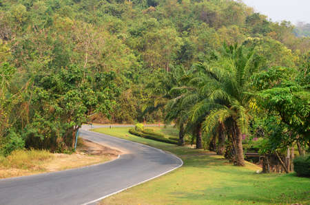asphalt road in thai jungleの写真素材