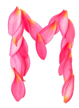 letter M made from beauty flower petals on whiteの写真素材
