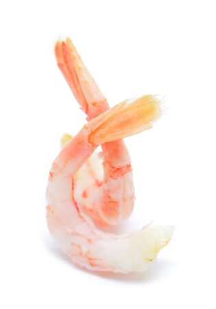 two shrimps isolated on whiteの写真素材
