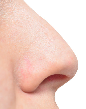 human nose isolated on whiteの写真素材