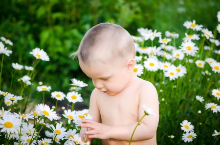 cute child boy with camomile flowersの写真素材