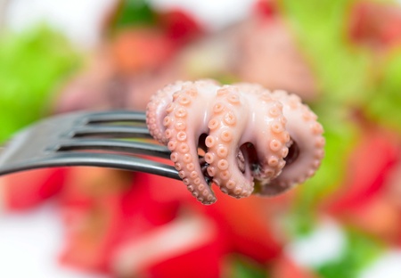 octopus on a fork against seafood saladの写真素材