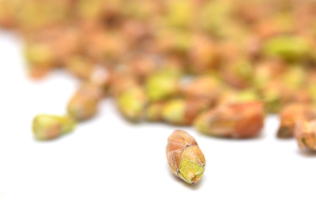 black currant buds isolated on white backgroundの写真素材