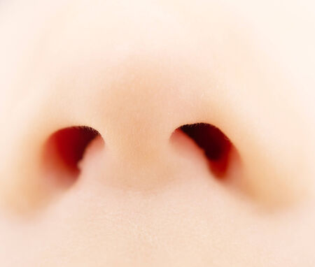 close up of baby noseの写真素材