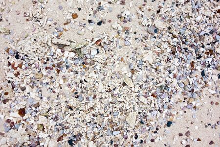 sea stone background