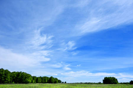 blue sky and green fieldの写真素材