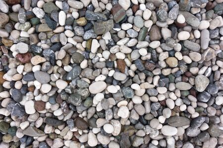 sea stones