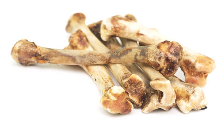 chicken bones isolated on white backgroundの写真素材