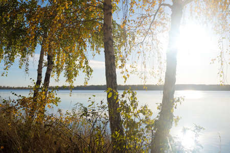 autumn lake landscapeの写真素材