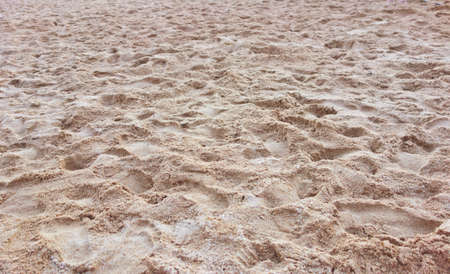 beach sand backgroundの写真素材