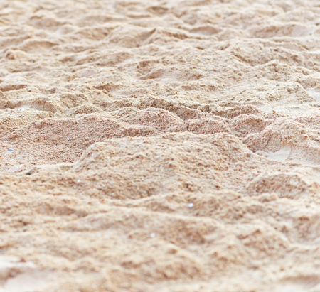 beach sand backgroundの写真素材