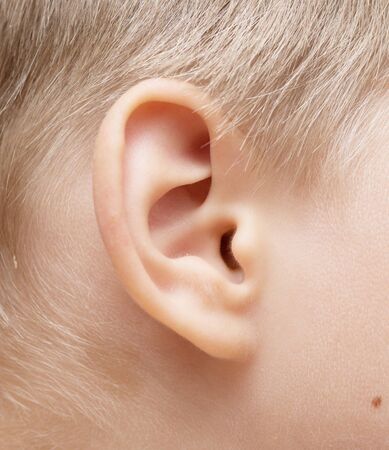close up of baby earの写真素材