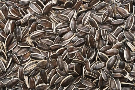 close up shot of raw sunflower seedsの写真素材