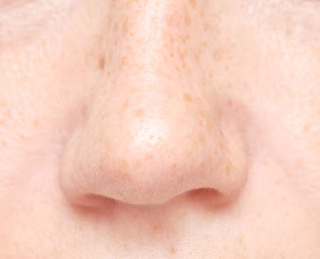 close up shot of human noseの写真素材