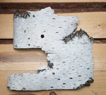 birch bark on wooden backgroundの写真素材