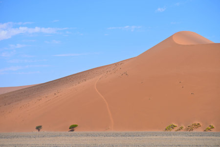 beautiful sand dune