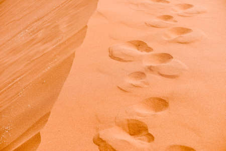 sand dune with footprintsの写真素材