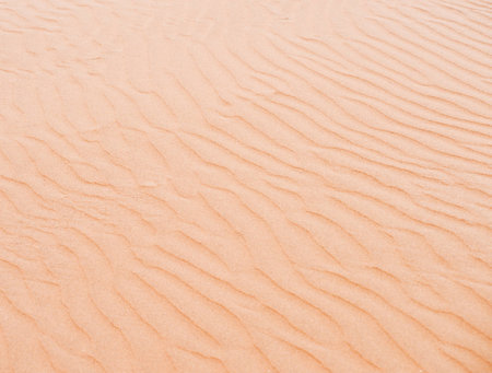 sand backgroundの写真素材