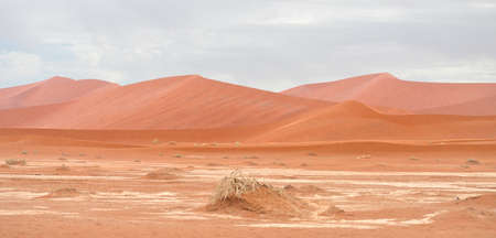 desert landscapeの写真素材
