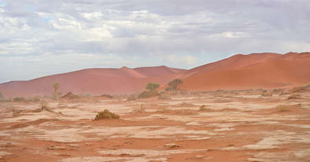 sand desertの写真素材