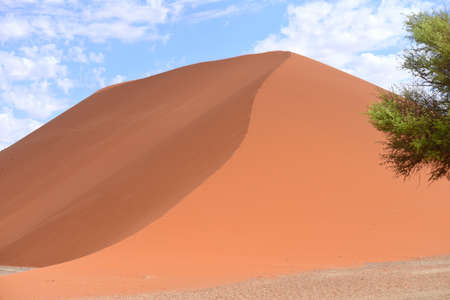 45 sand dune with blue skyの写真素材