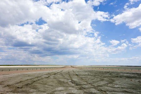 Etosha landscapeの写真素材