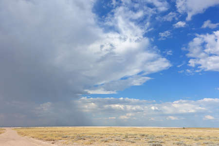 desert landscapeの写真素材