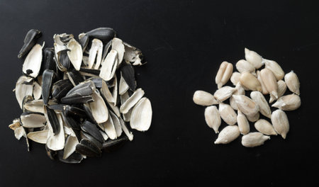 sunflower seeds and husks on black background