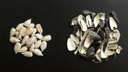 sunflower seeds and husks on black background