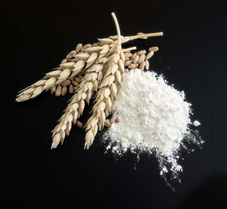 wheat ears with grain and flour on black backgroundの写真素材