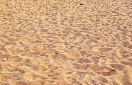 sand backgroundの写真素材
