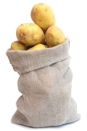 potato isolated on white backgroundの写真素材