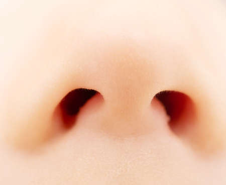 close up of baby noseの写真素材