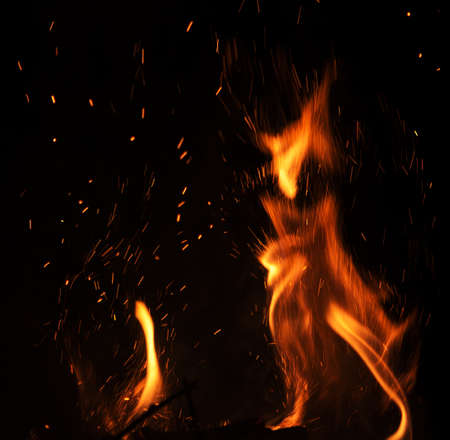 fire cat on a black background