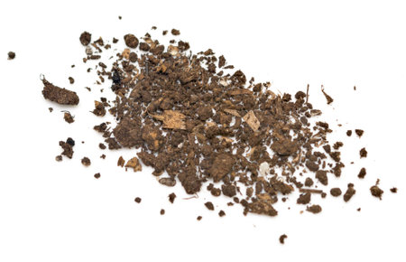 soil isolated on white background